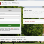 Accessing AMP Technology Accessibility
