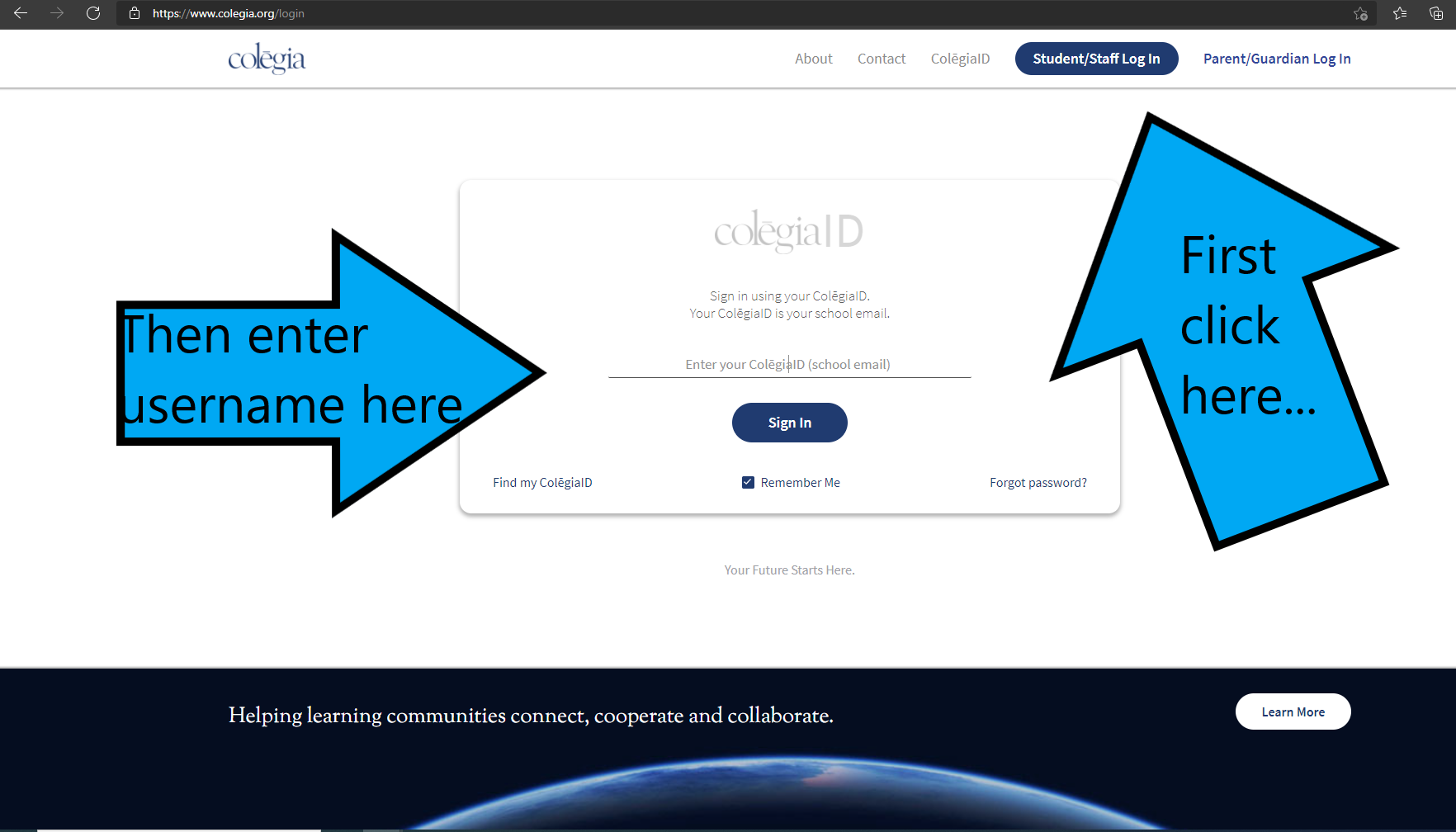 colegia student login