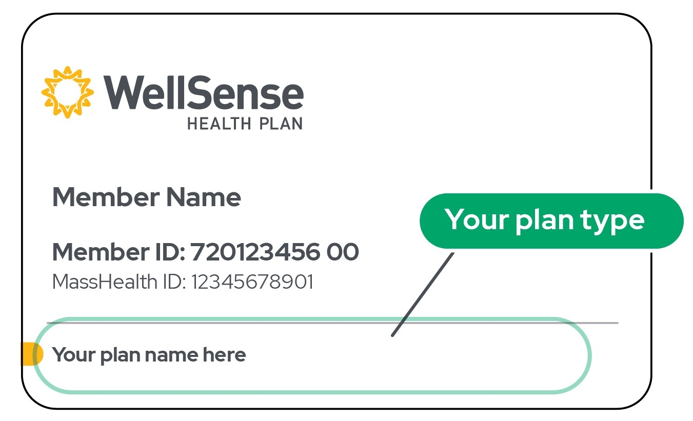 Get Started WellSense Health Plan Get Started WellSense Health Plan