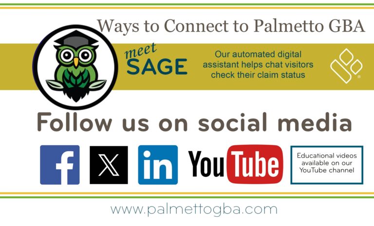 Jurisdiction J Part B Ways To Connect To Palmetto GBA