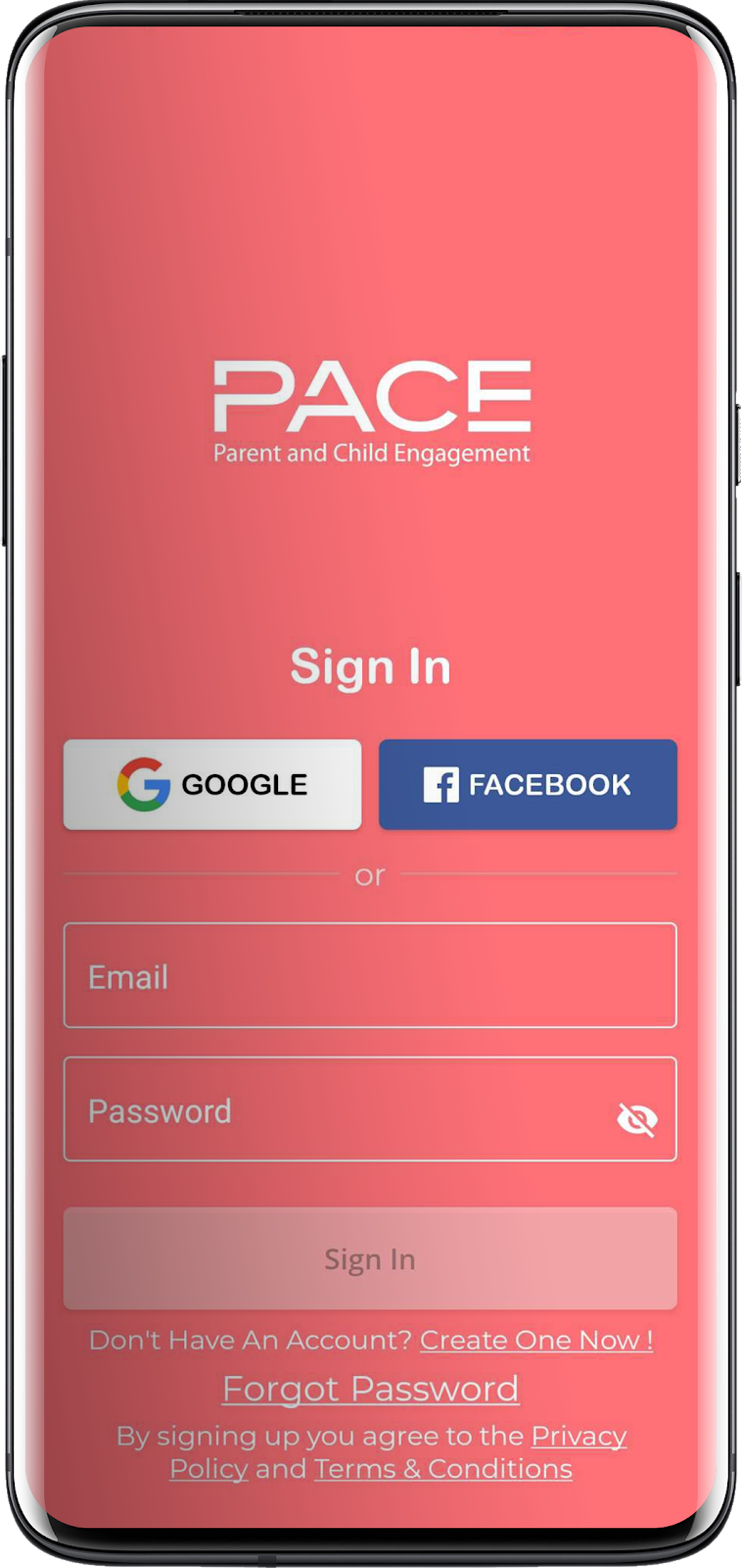 pace email login