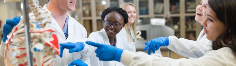 Mayo Clinic Job Opportunities Career Exploration