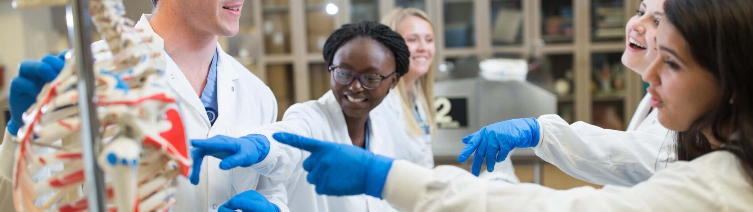 Mayo Clinic Job Opportunities Career Exploration