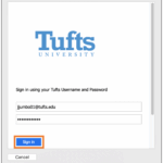 Microsoft 365 Email Setup Technology Services