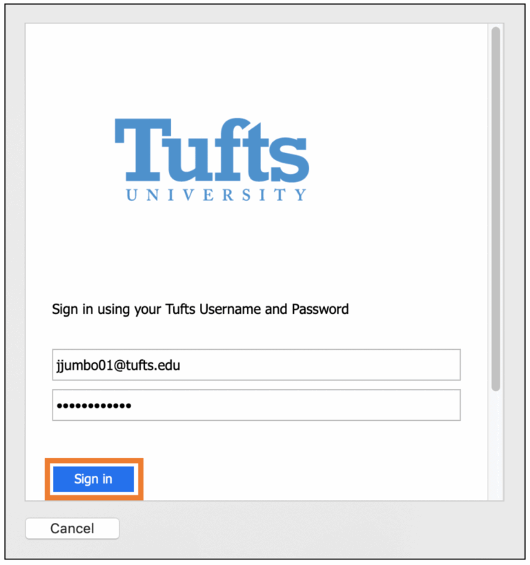 Microsoft 365 Email Setup Technology Services