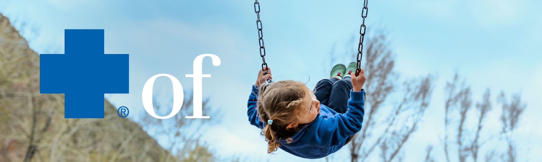 blue cross of idaho provider login blue cross of idaho provider login