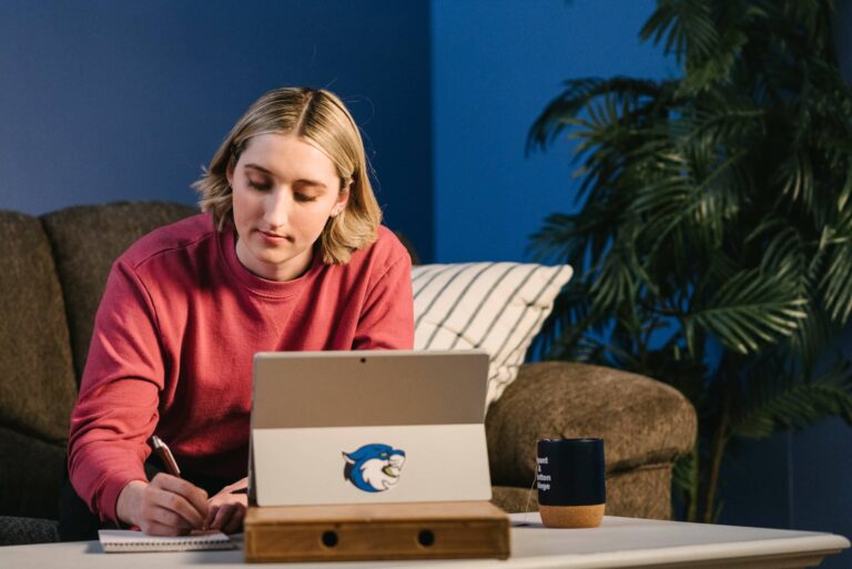 Online Learning