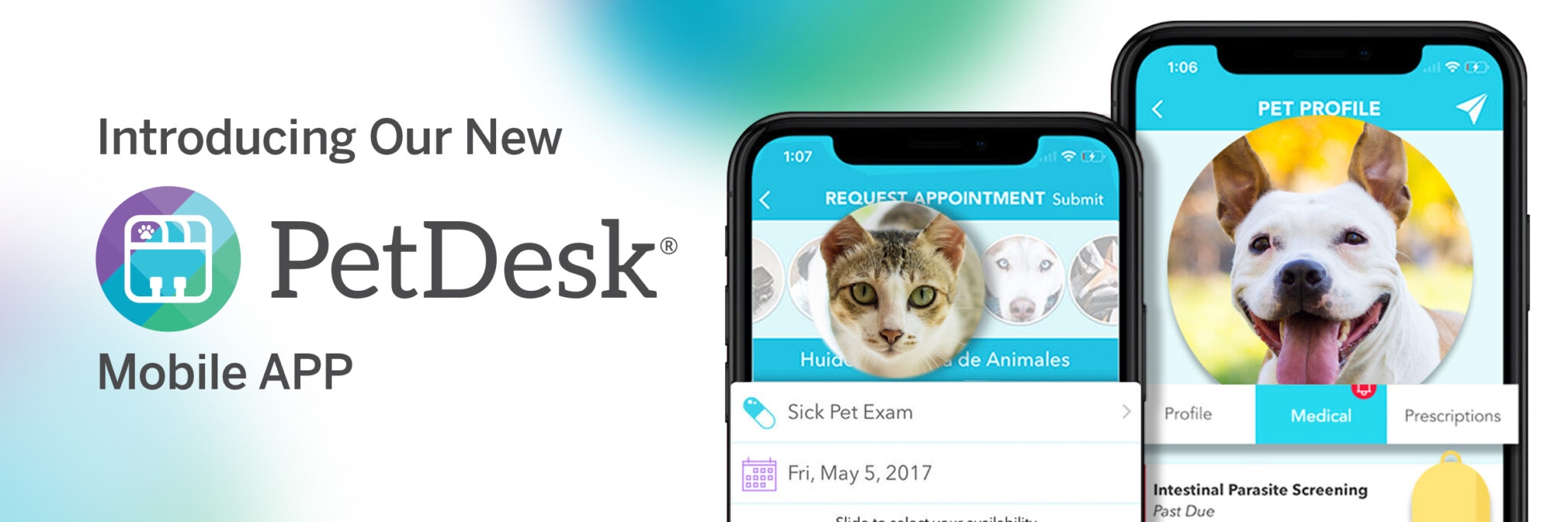 petdesk clinic login