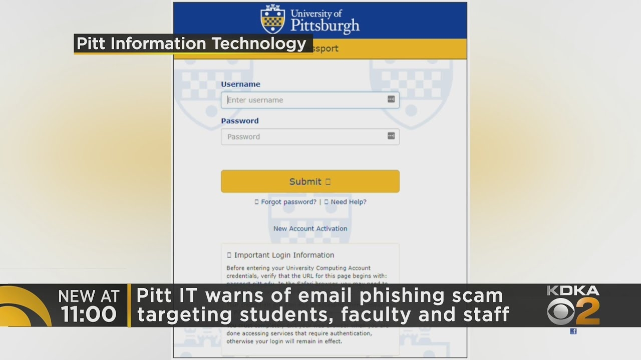 pitt login email