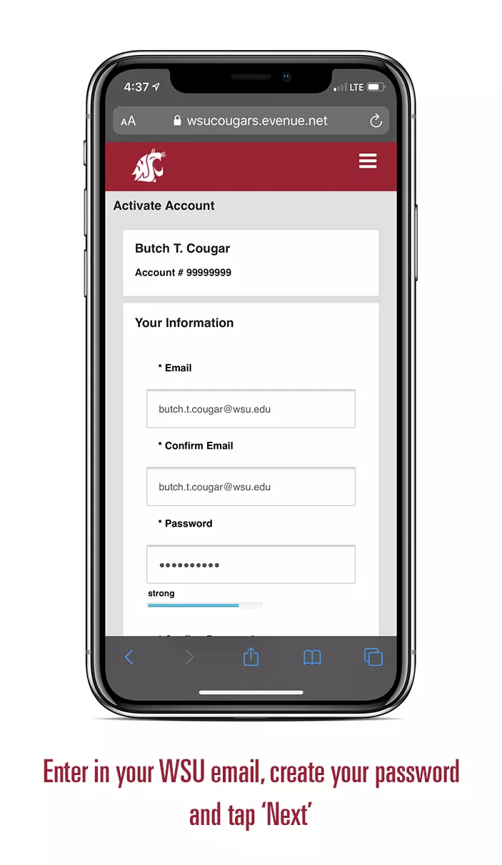 wsu email login