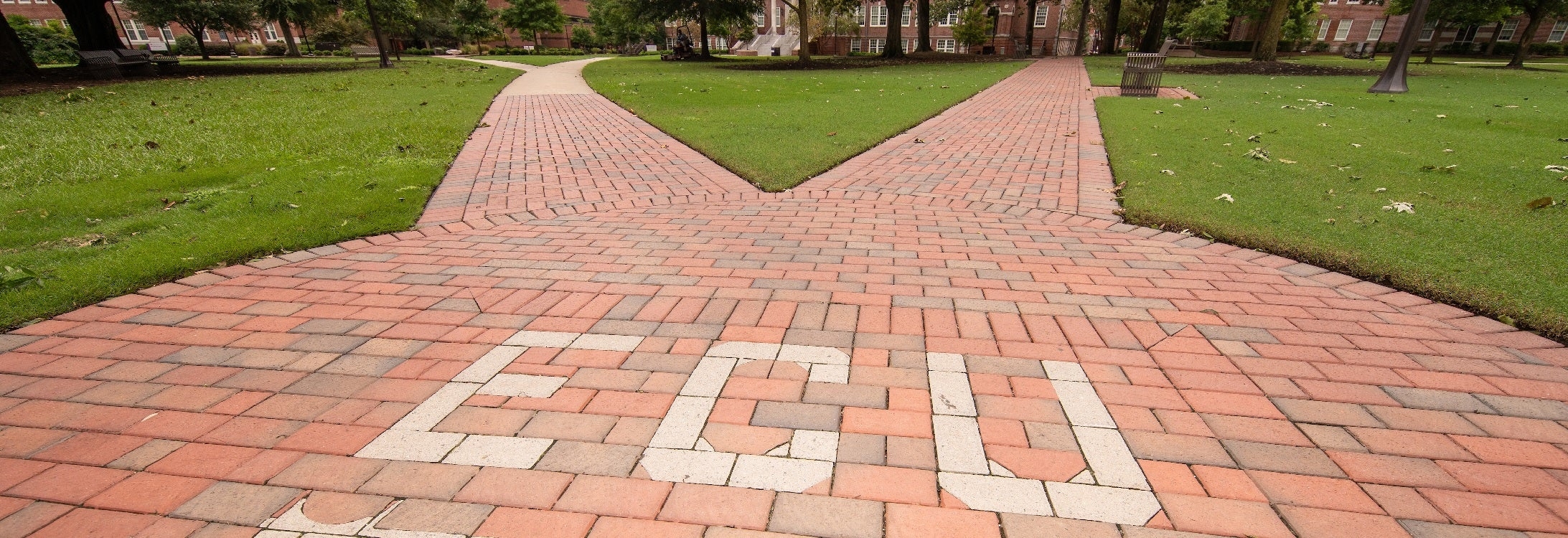 Welcome To Pirate Nation New Employee ECU