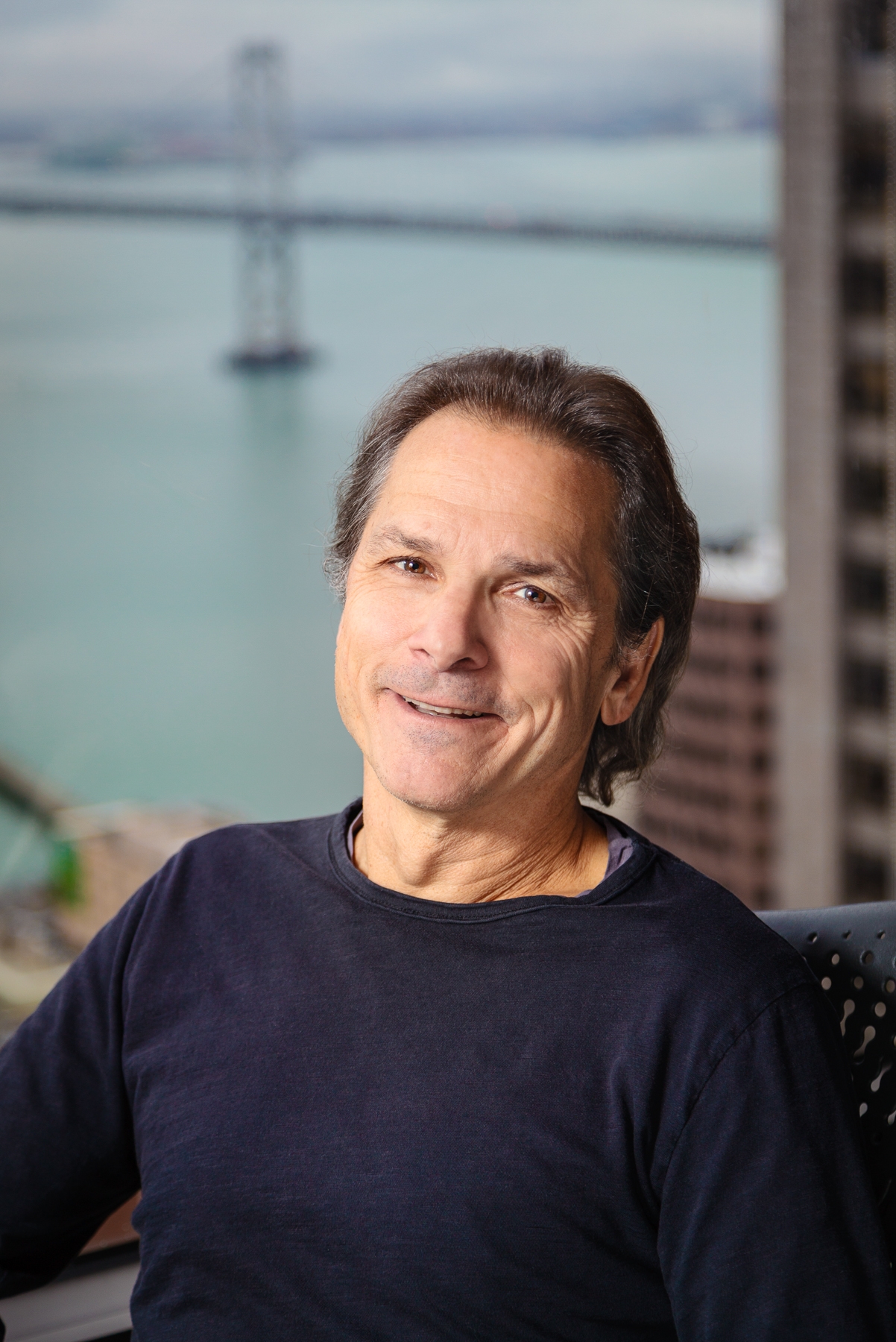 wells fargo ceo portal login